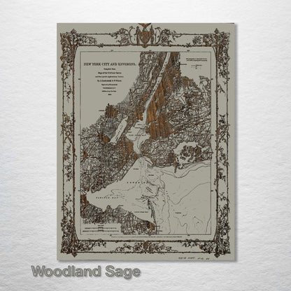 New York and Environs 1860