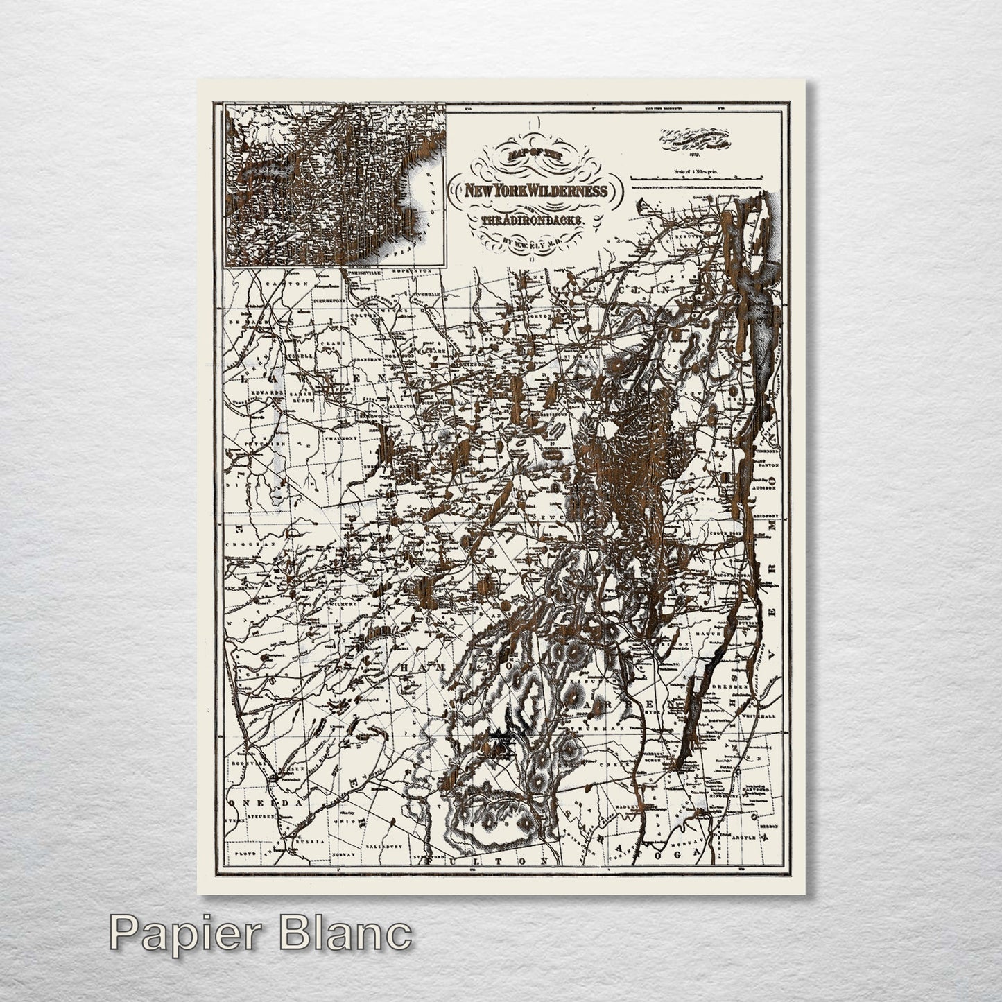 New York Wilderness and the Adirondacks 1879 Map