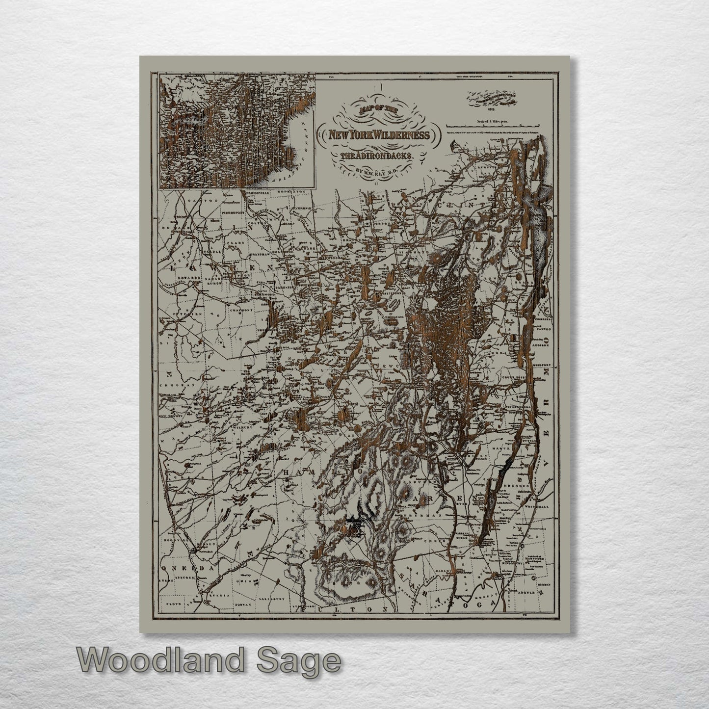 New York Wilderness and the Adirondacks 1879 Map