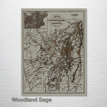 New York Wilderness and the Adirondacks 1879 Map