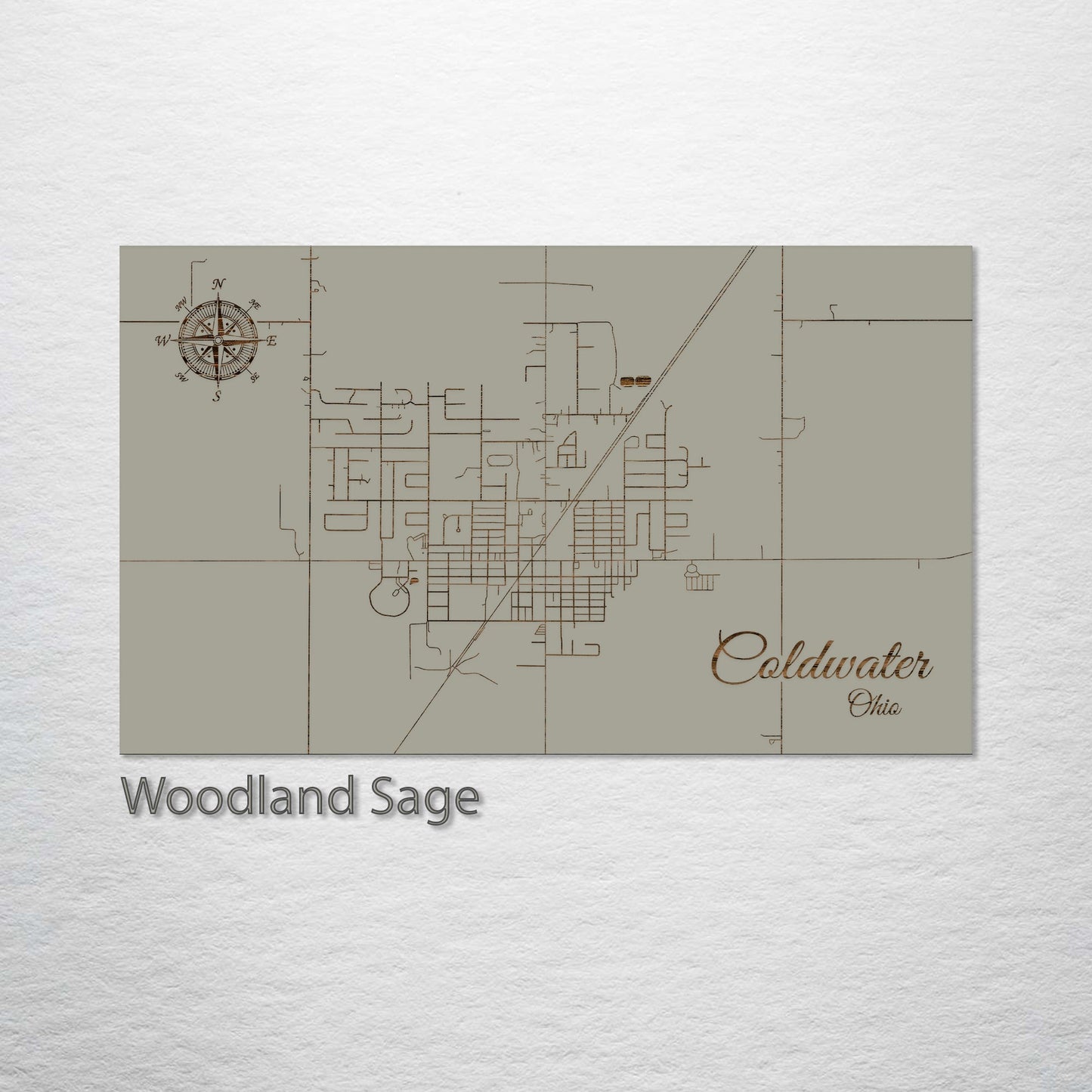 Coldwater, Ohio Street Map