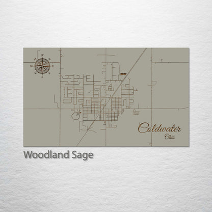 Coldwater, Ohio Street Map