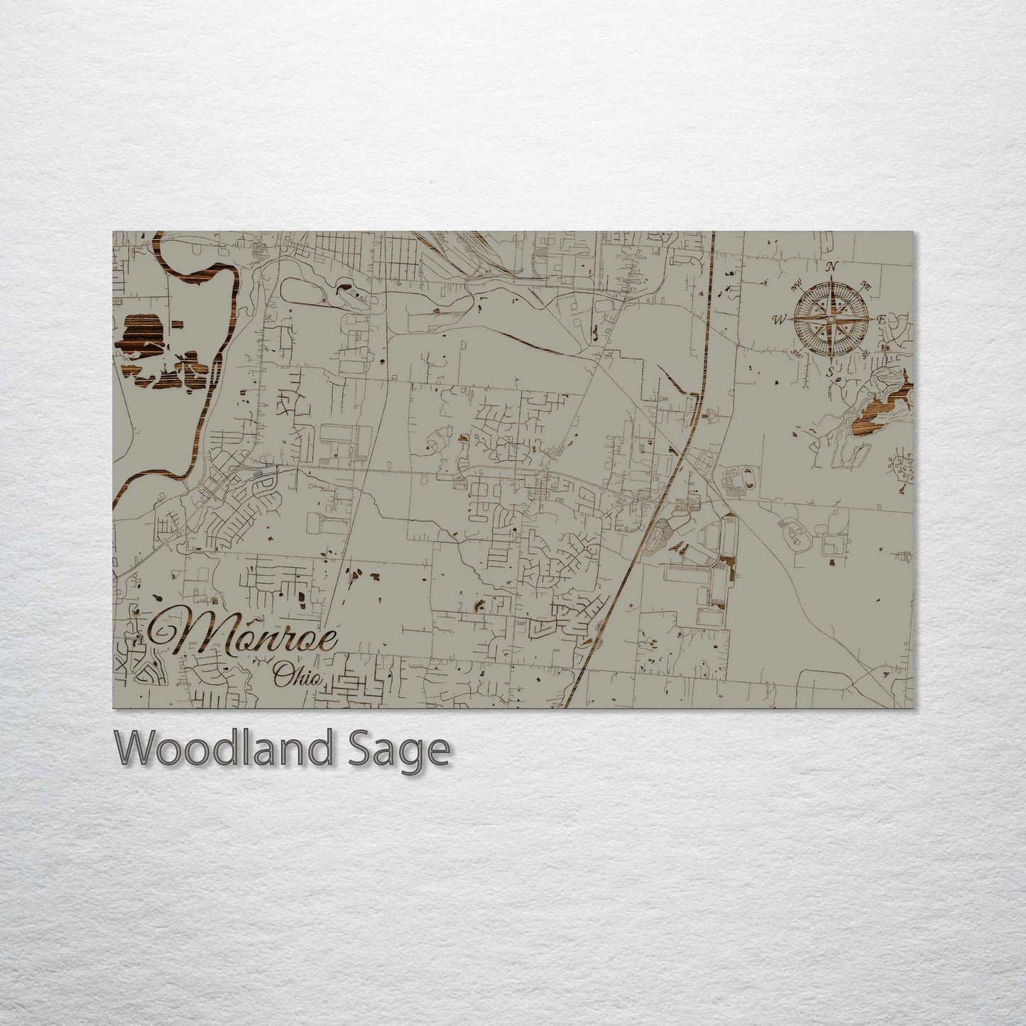 Monroe, Ohio Street Map