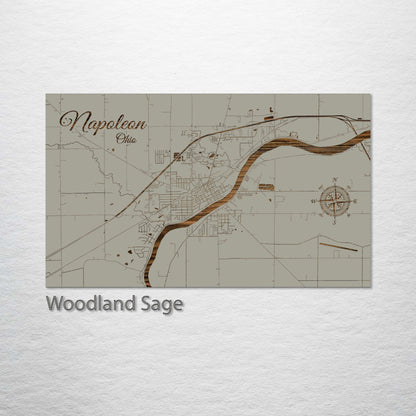 Napoleon, Ohio Street Map