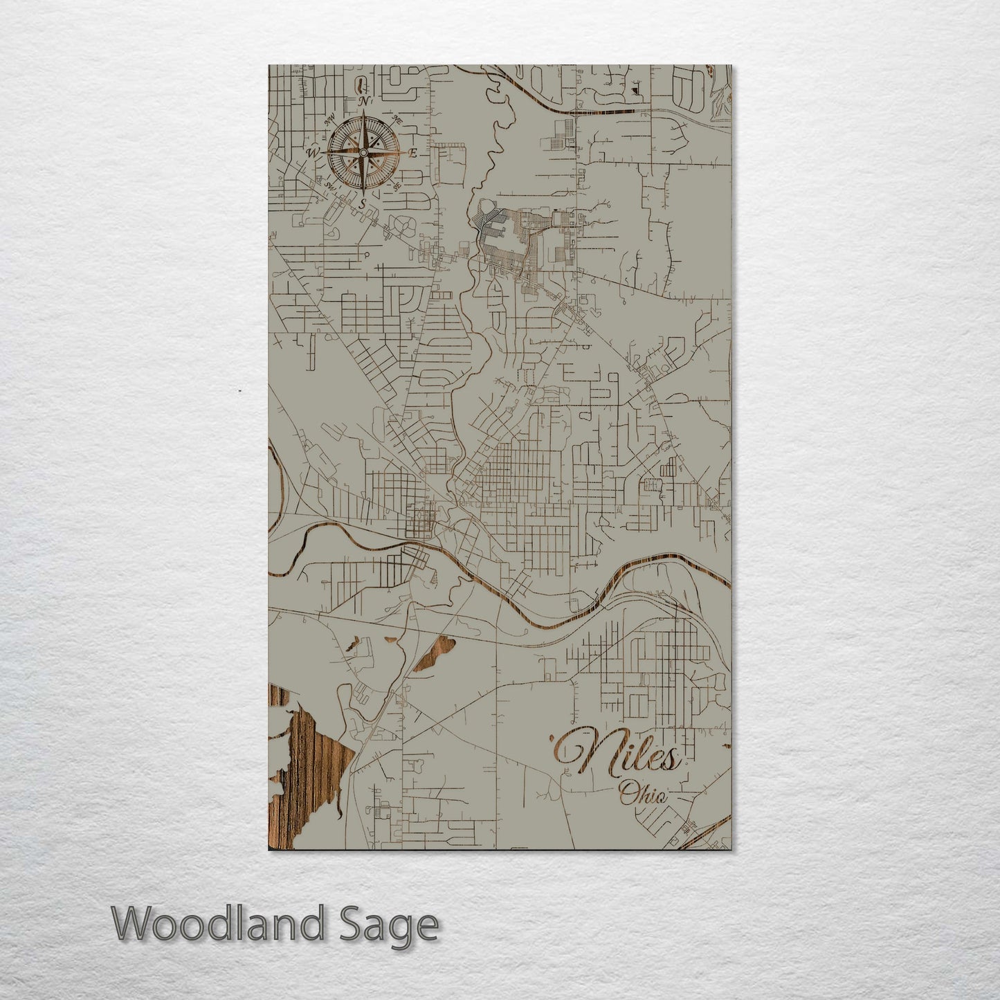 Niles, Ohio Street Map