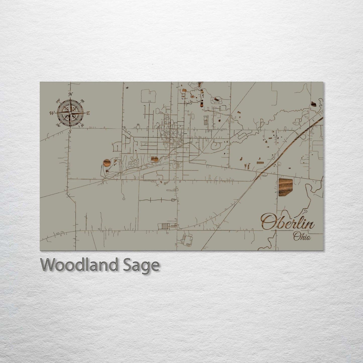 Oberlin, Ohio Street Map