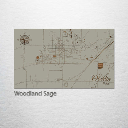 Oberlin, Ohio Street Map