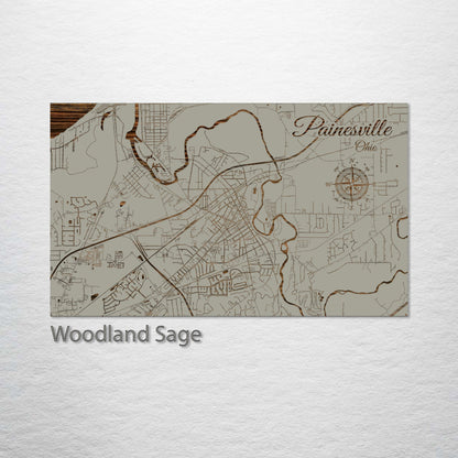 Painesville, Ohio Street Map