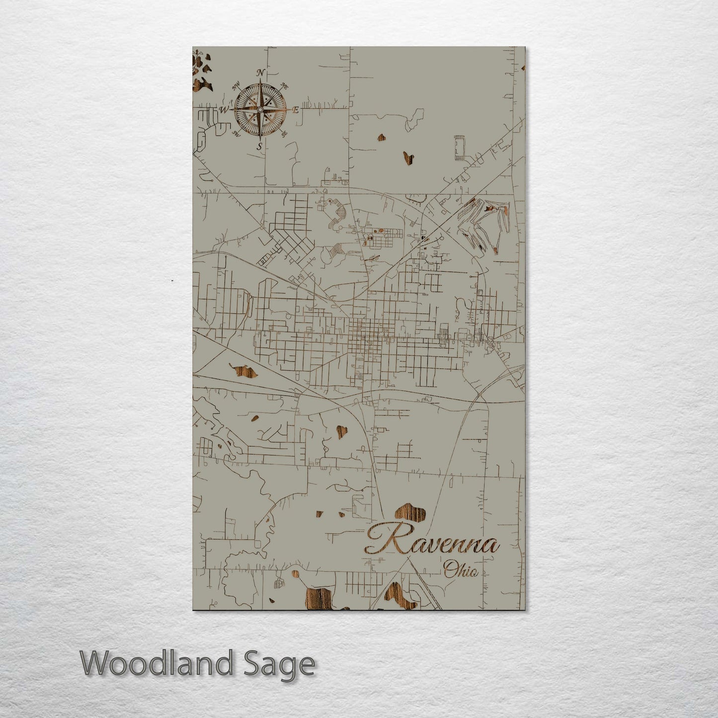 Ravenna, Ohio Street Map