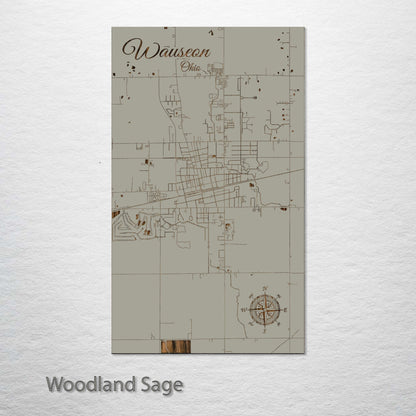 Wauseon, Ohio Street Map