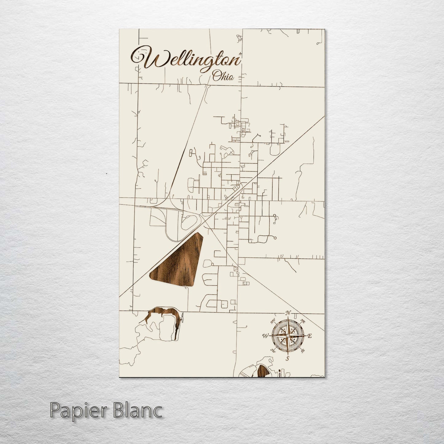 Wellington, Ohio Street Map