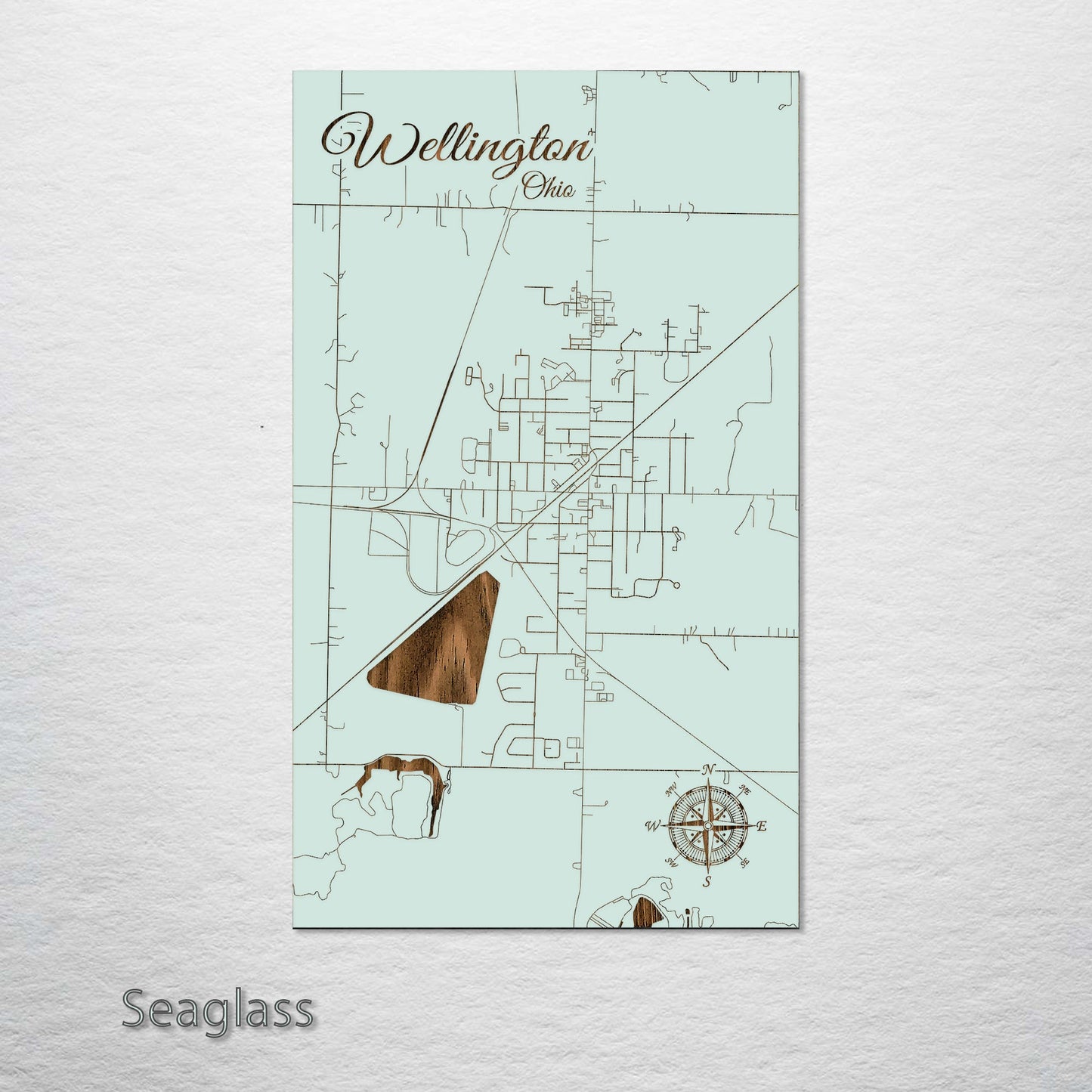 Wellington, Ohio Street Map