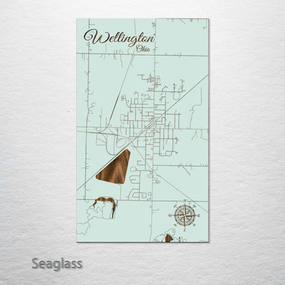 Wellington, Ohio Street Map