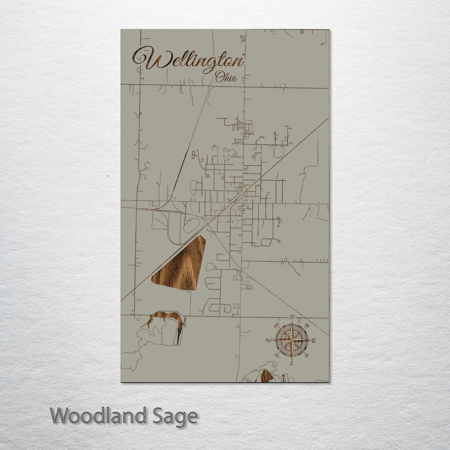 Wellington, Ohio Street Map