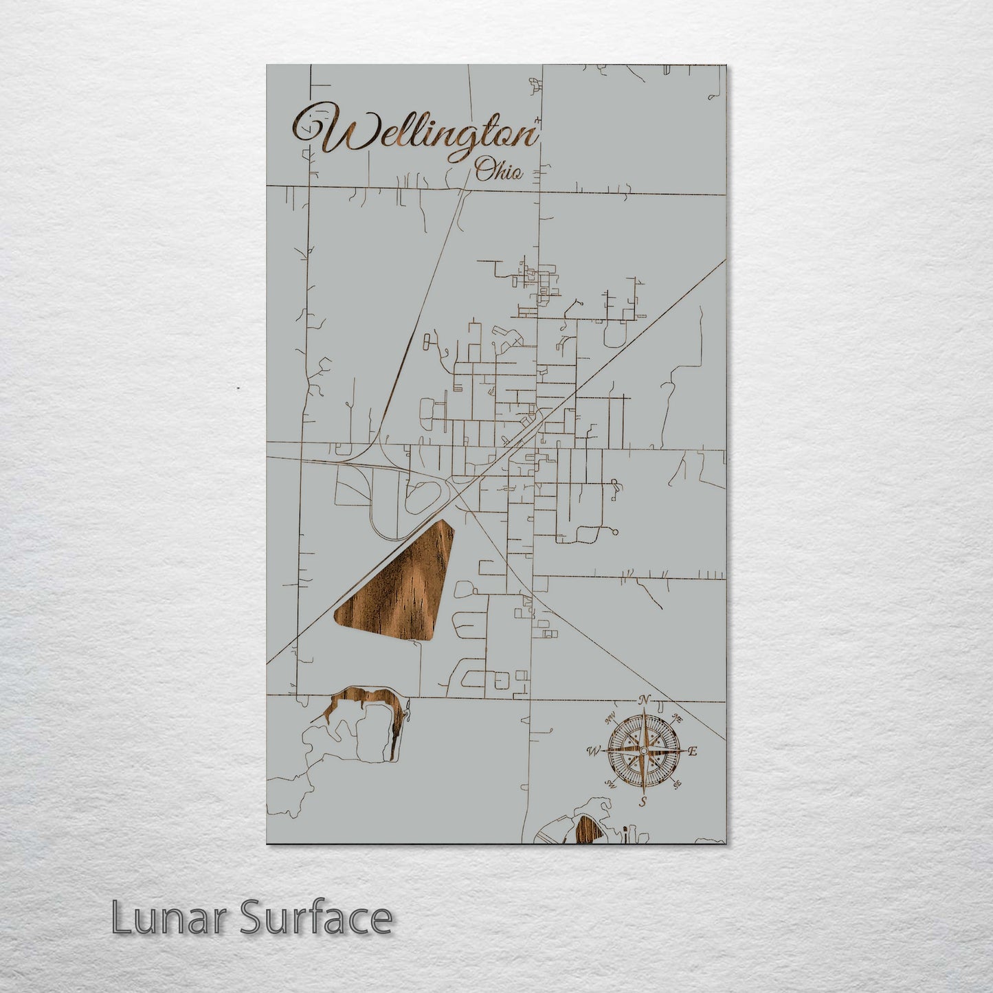 Wellington, Ohio Street Map