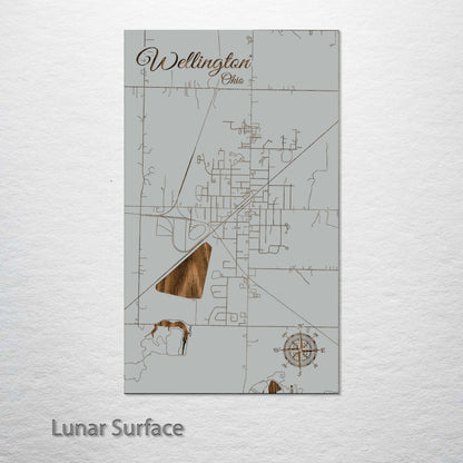 Wellington, Ohio Street Map