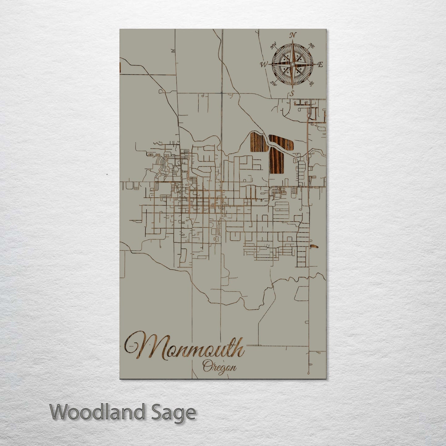 Monmouth, Oregon Street Map