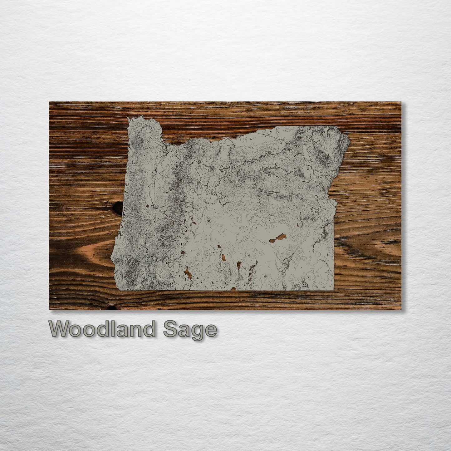 Oregon Isolated Map (SCH-3X)