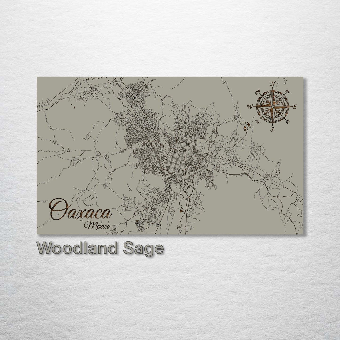 Oaxaca, Mexico Street Map