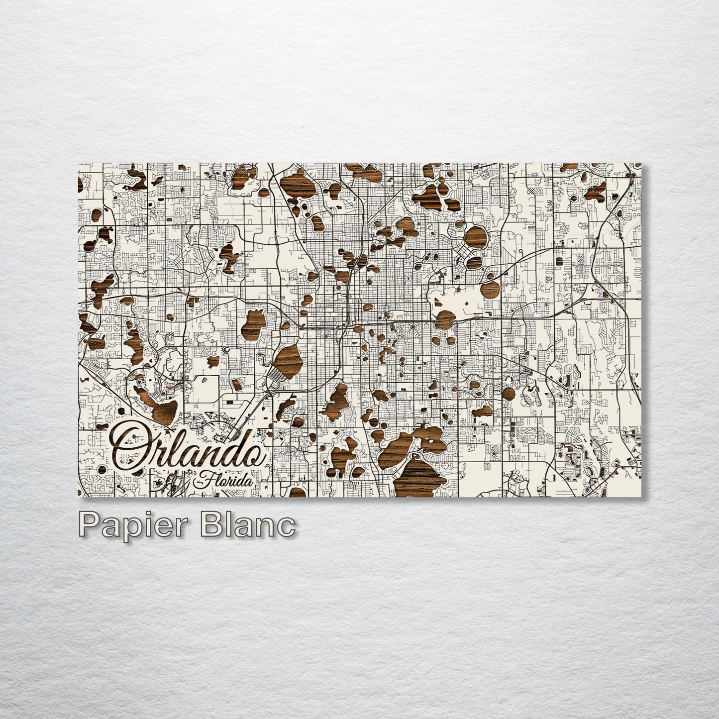 Orlando, Florida Street Map