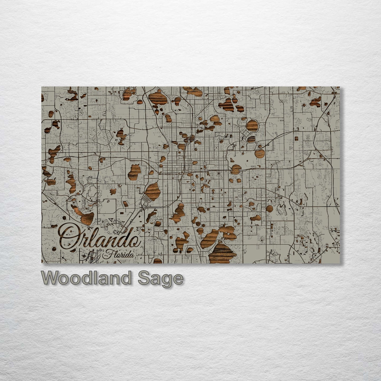 Orlando, Florida Street Map