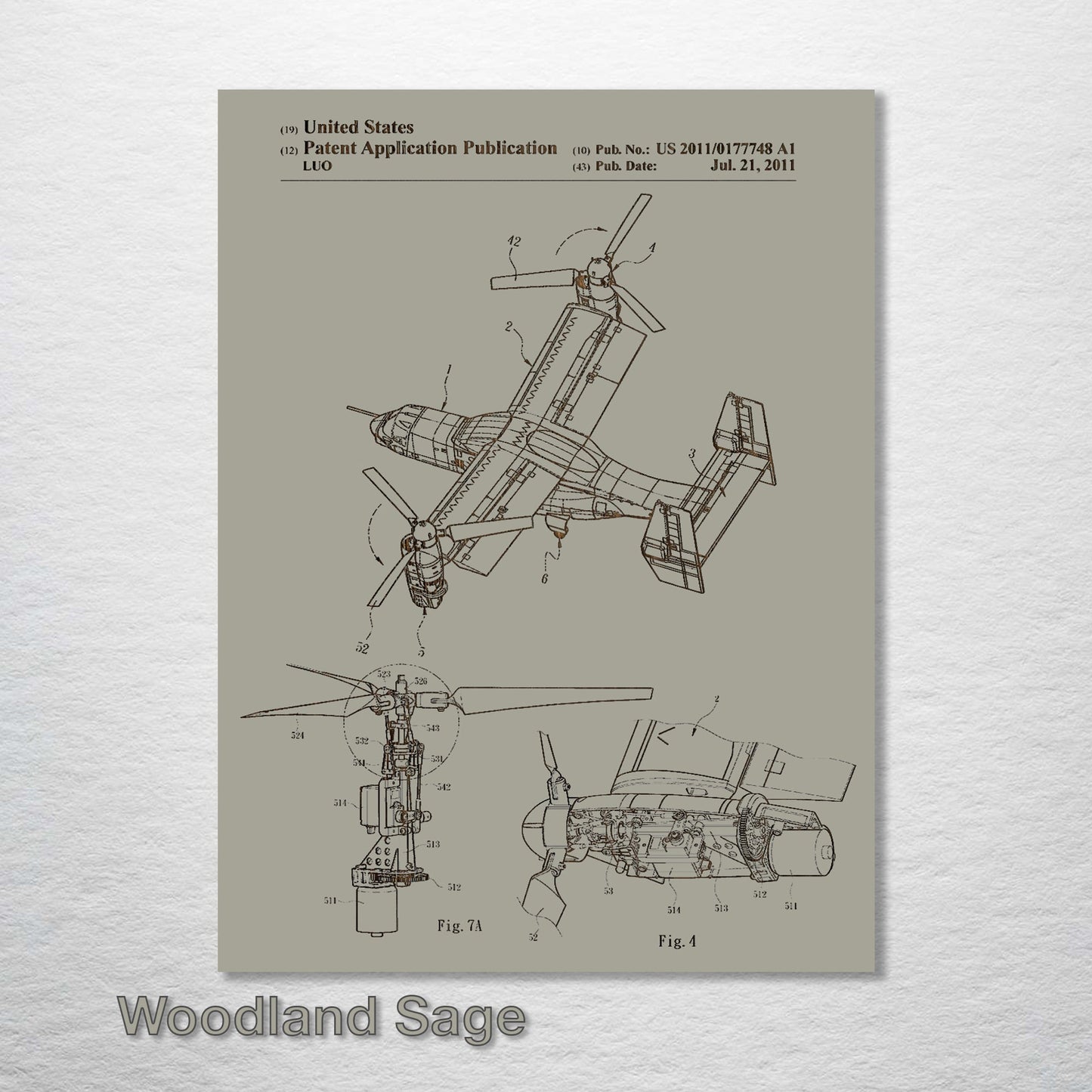 Osprey Airplane 2011