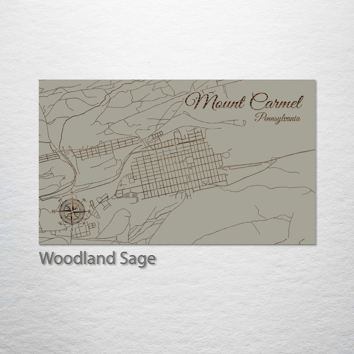 Mount Carmel, Pennsylvania Street Map