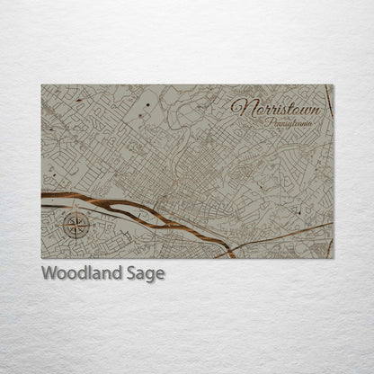 Norristown, Pennsylvania Street Map