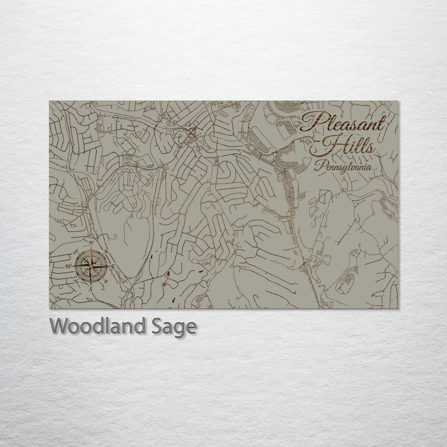 Pleasant Hills, Pennsylvania Street Map