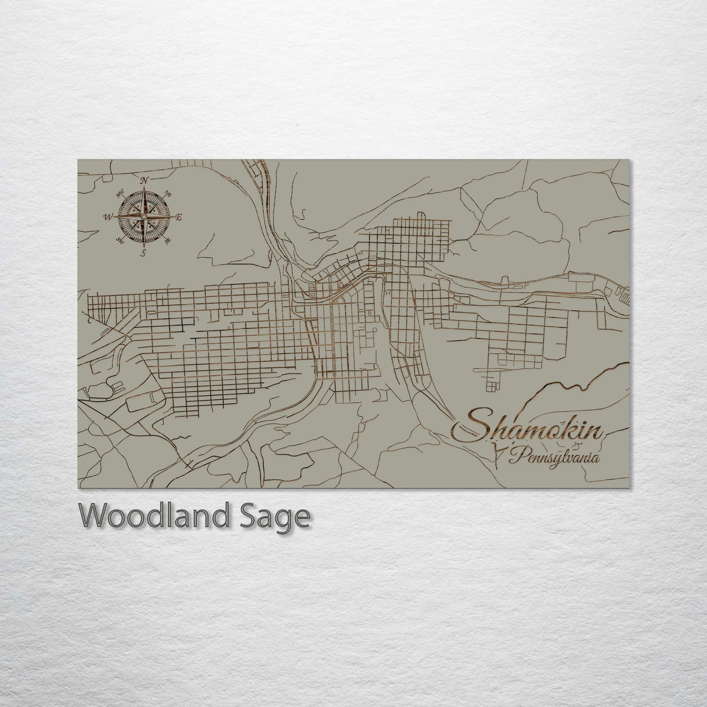 Shamokin, Pennsylvania Street Map