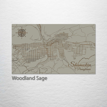 Shamokin, Pennsylvania Street Map