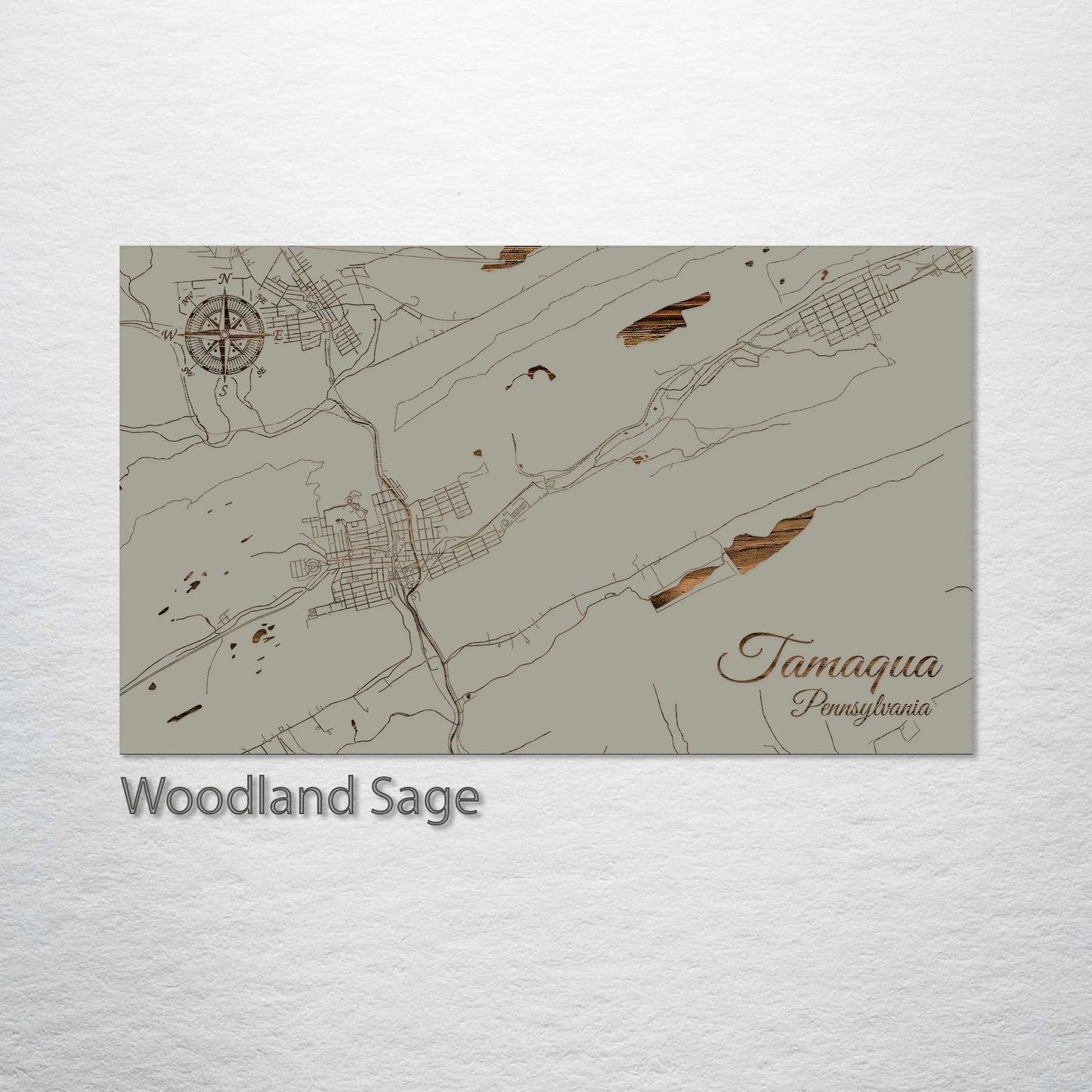 Tamaqua, Pennsylvania Street Map