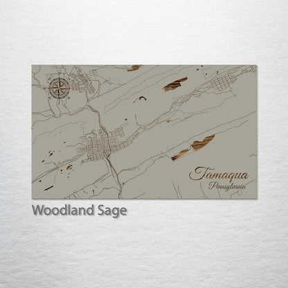 Tamaqua, Pennsylvania Street Map