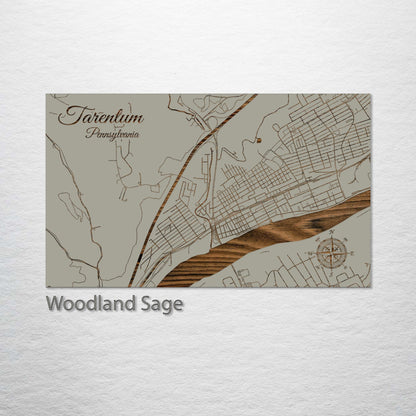 Tarentum, Pennsylvania Street Map