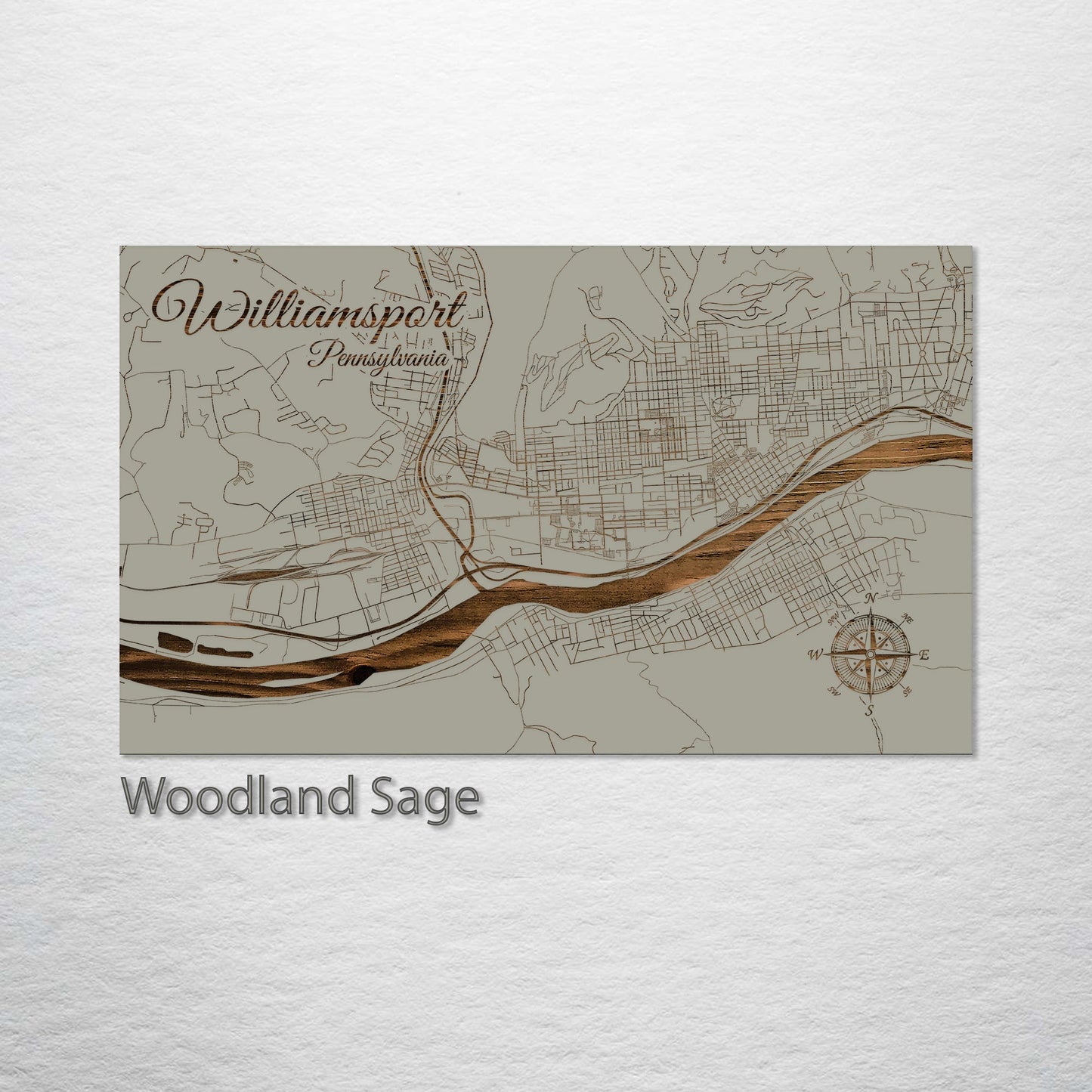 Williamsport, Pennsylvania Street Map