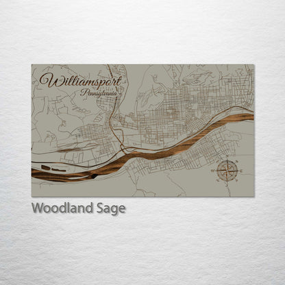 Williamsport, Pennsylvania Street Map