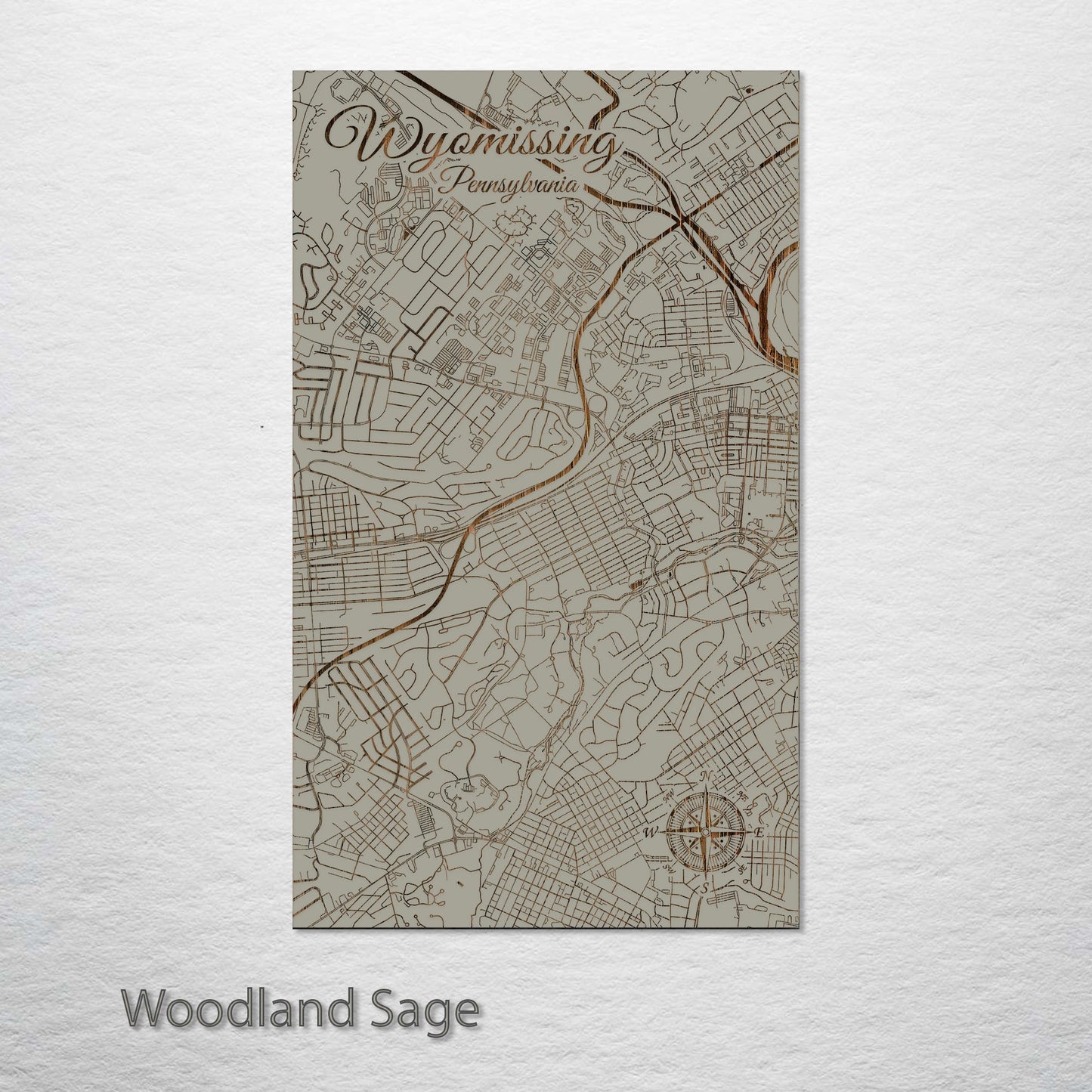 Wyomissing, Pennsylvania Street Map