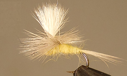 Parachute Pale Morning Dun