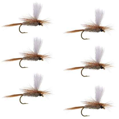 Hares Ear Parachute Classic Dry Fly - 6 Flies Hook Size 14