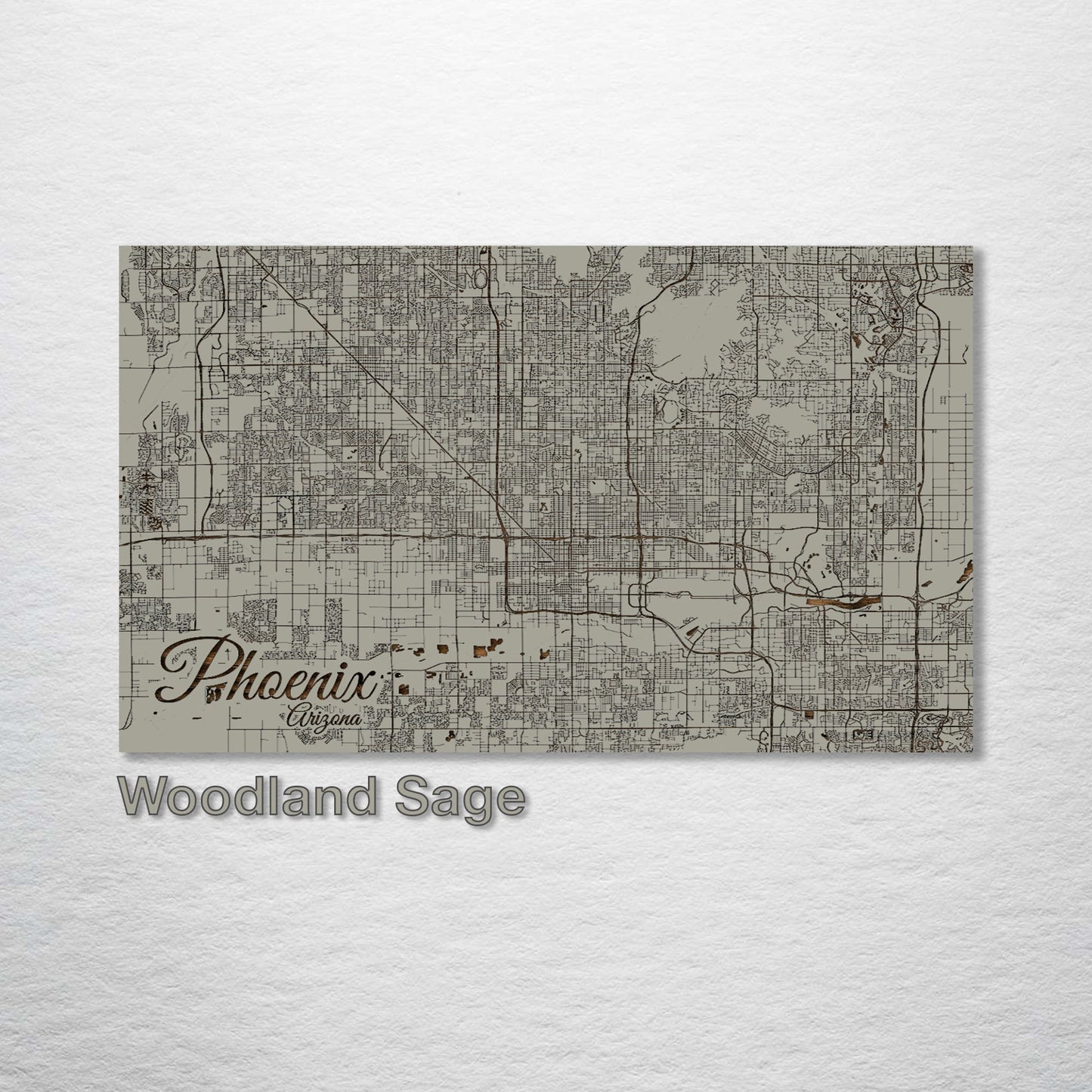 Phoenix, Arizona Street Map