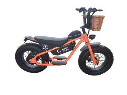 AR Atom 1000 Watt Mini Electric Bicycle