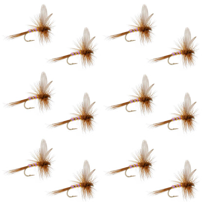 Pink Lady Classic Dry Fly - 12 Flies Size 14