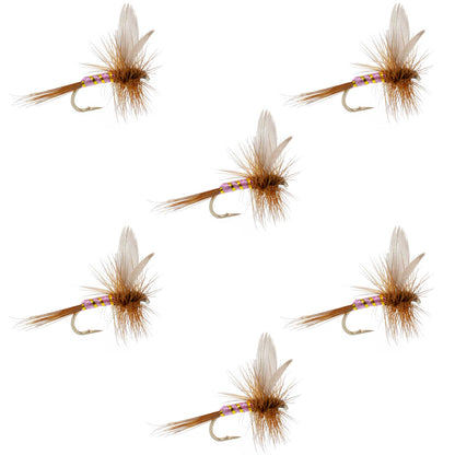Pink Lady Classic Dry Fly - 6 Flies Size 18