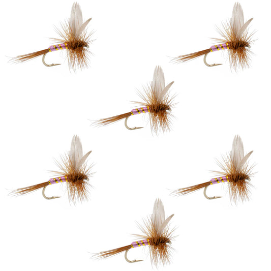 Pink Lady Classic Dry Fly - 6 Flies Size 16