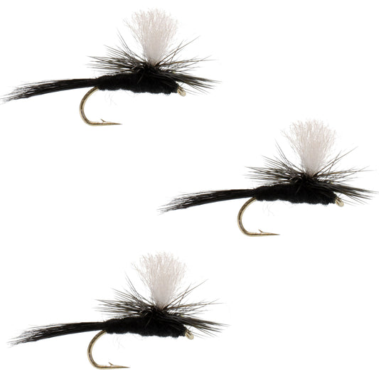 3 Pack Parachute Black Gnat Classic Dry Fly - Size 16