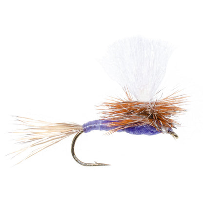 Parachute Purple Haze Dry Fly - 12 Flies Size 20