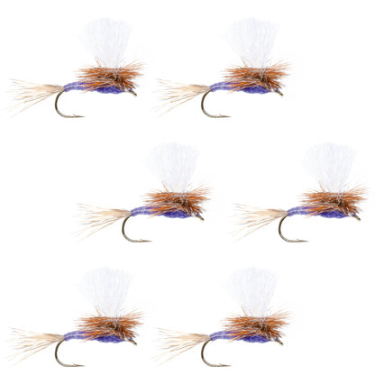 Parachute Purple Haze Dry Fly - 6 Flies Size 18