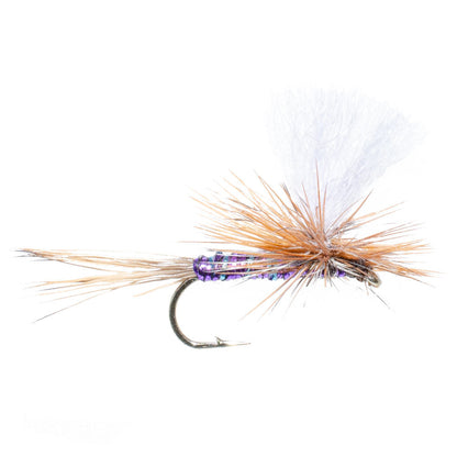Parachute Super Flash Purple Haze Dry Fly - 12 Flies Size 12