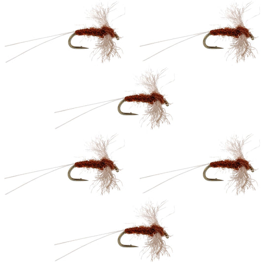 Poly Wing Rusty Spinner Mayfly 6 Flies Hook Size 22