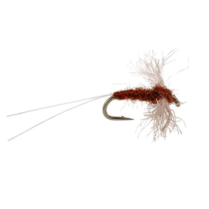 Poly Wing Rusty Spinner Mayfly 12 Flies Hook Size 14